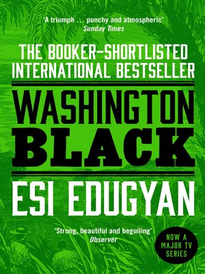 Washington Black - ebook